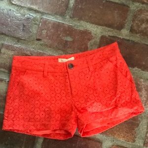 Black Swan Lace Shorts Coral 27